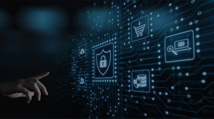 Vulnerability-Assessment